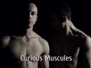 Curious_Muscules