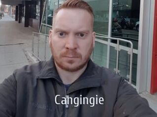 Cangingie