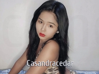 Casandracedar