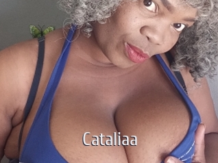 cataliaa Cigare à moustache
