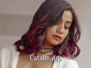 Catalinafox