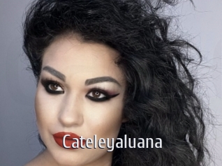 Cateleyaluana