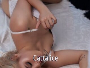 Cattalice