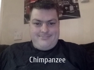 Chimpanzee