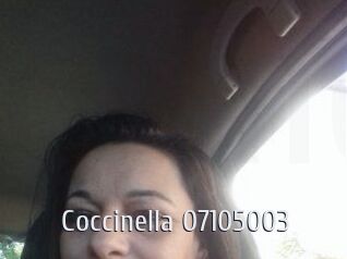 Coccinella-07105003