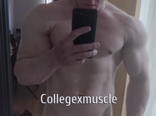 Collegexmuscle