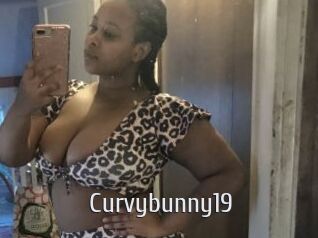 Curvybunny19