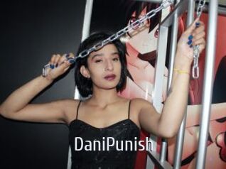 DaniPunish