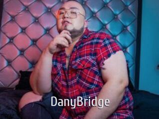 DanyBridge