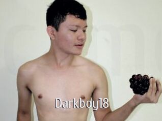 Darkboy18