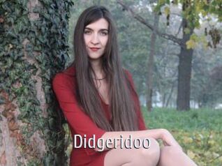Didgeridoo