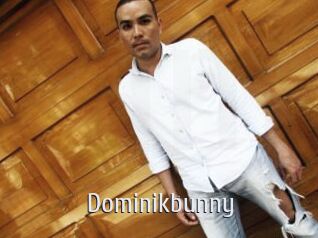 Dominikbunny