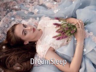 DreamSleep