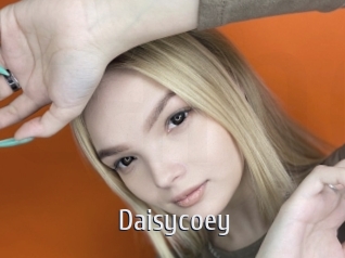 Daisycoey