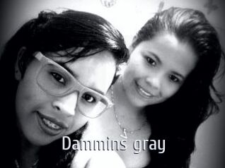 Dammins_gray