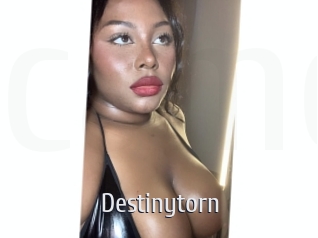 Destinytorn