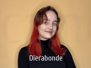 Dierabonde