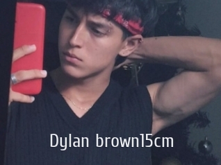 Dylan_brown15cm