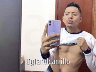 Dylandcarrillo