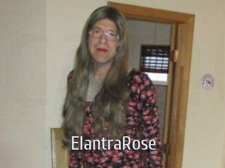 Elantra_Rose