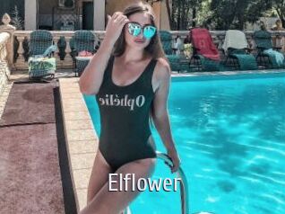 Elflower