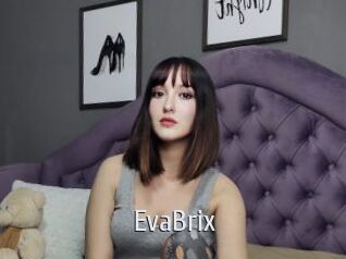 EvaBrix