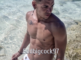 Eddbigcock97