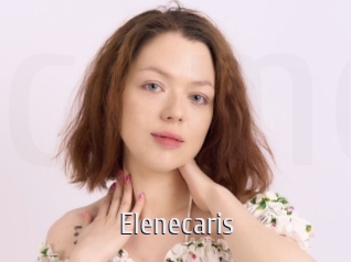 Elenecaris