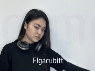 Elgacubitt