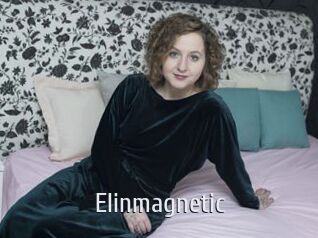 Elinmagnetic