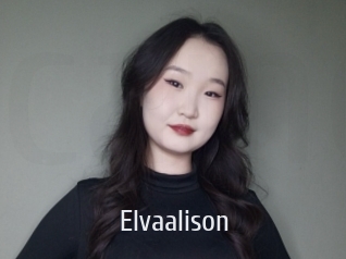 Elvaalison