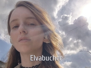 Elvabucher