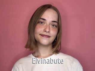 Elvinabute