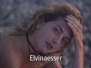 Elvinaesser