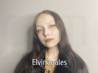 Elvinagales