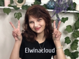 Elwinacloud