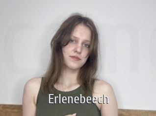 Erlenebeech