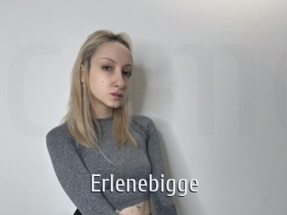 Erlenebigge