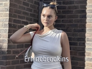 Erlenebrookins