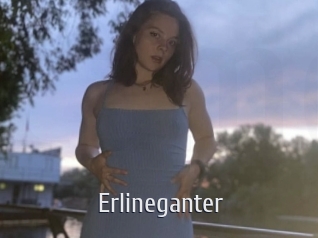 Erlineganter