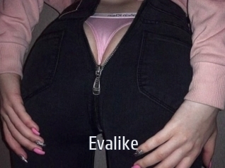 Evalike