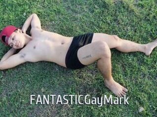 FANTASTICGayMark