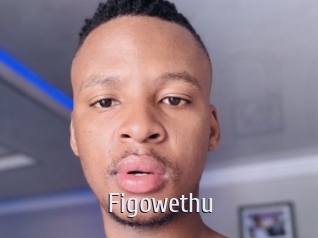 Figowethu