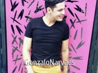 GonzaloNarvaes