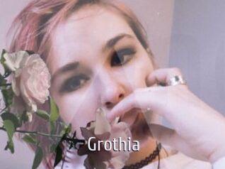 Grothia