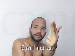 Gavril_morton