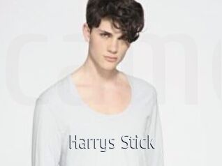 Harrys_Stick