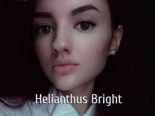 Helianthus_Bright