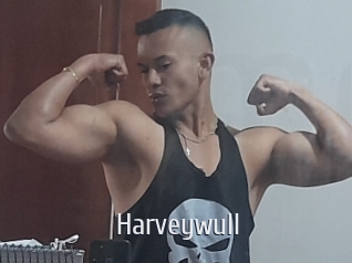 Harveywull