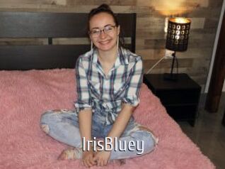 IrisBluey